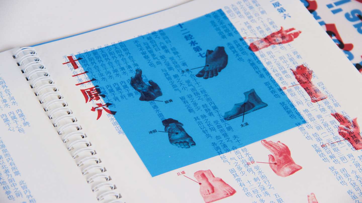 Jia Yi Jing Volume One