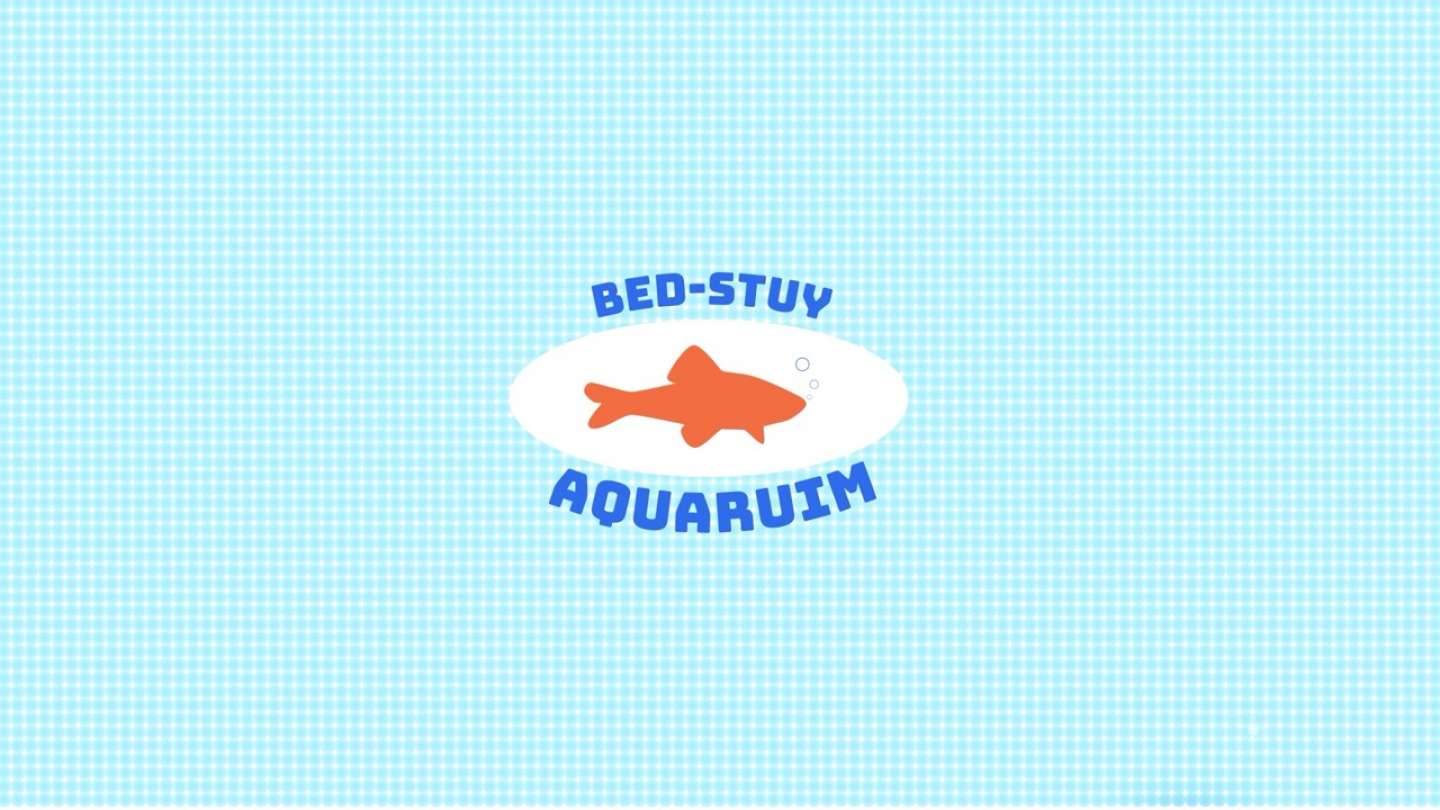 BED-STUY AQUARIUM