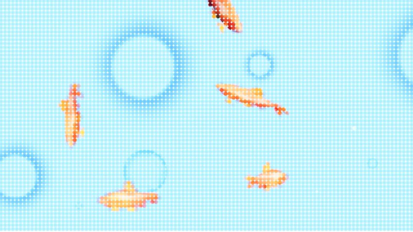BED-STUY AQUARIUM