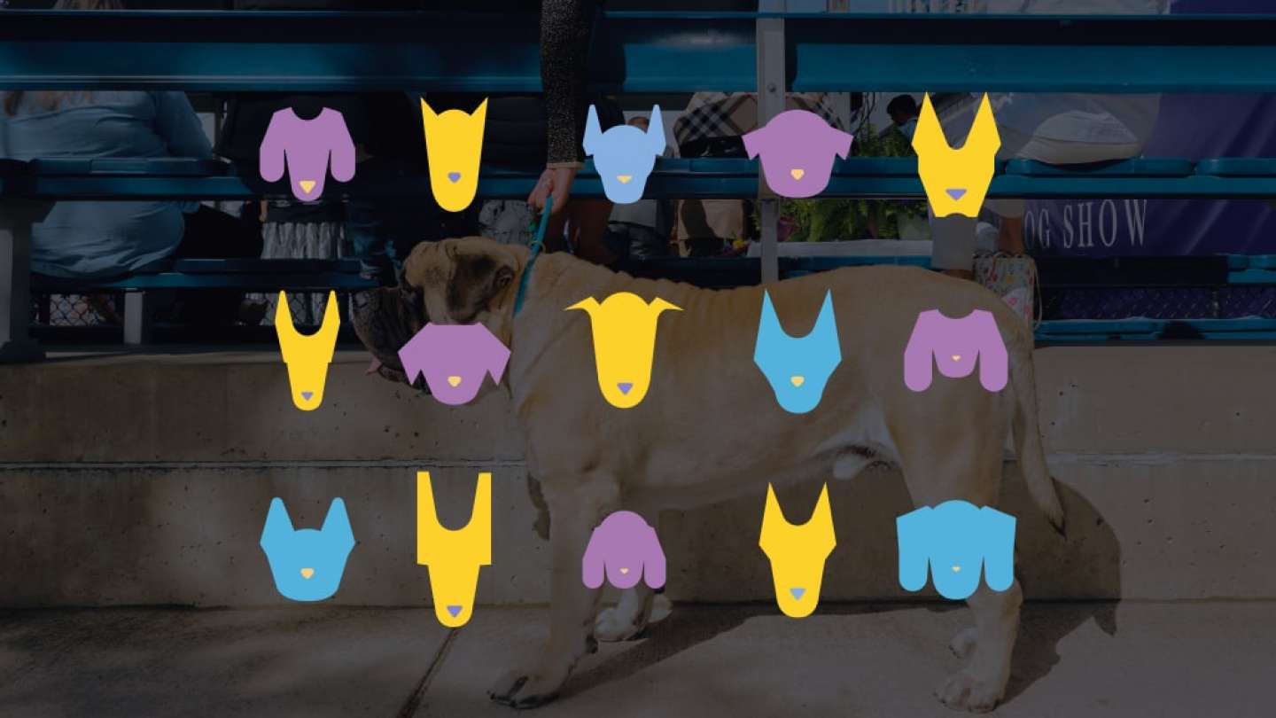 Westminster Dog Show