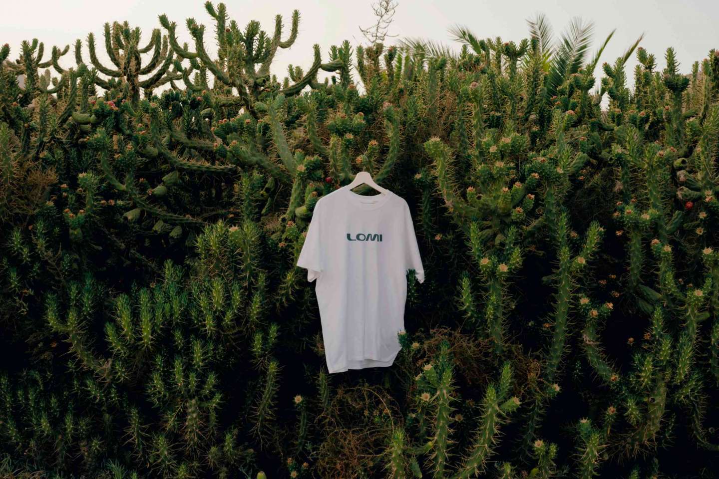 REBRANDING LOMI