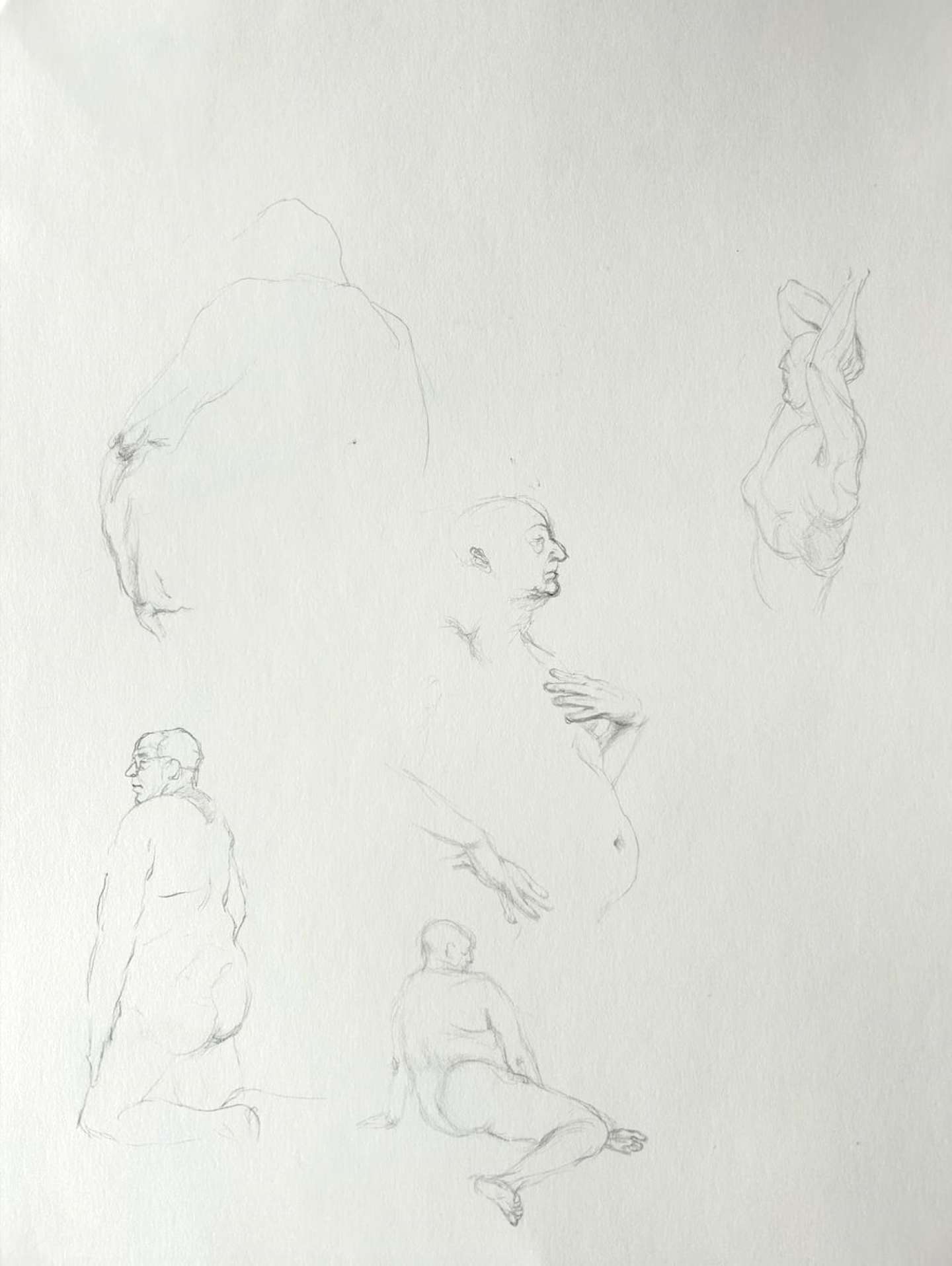 Lineage