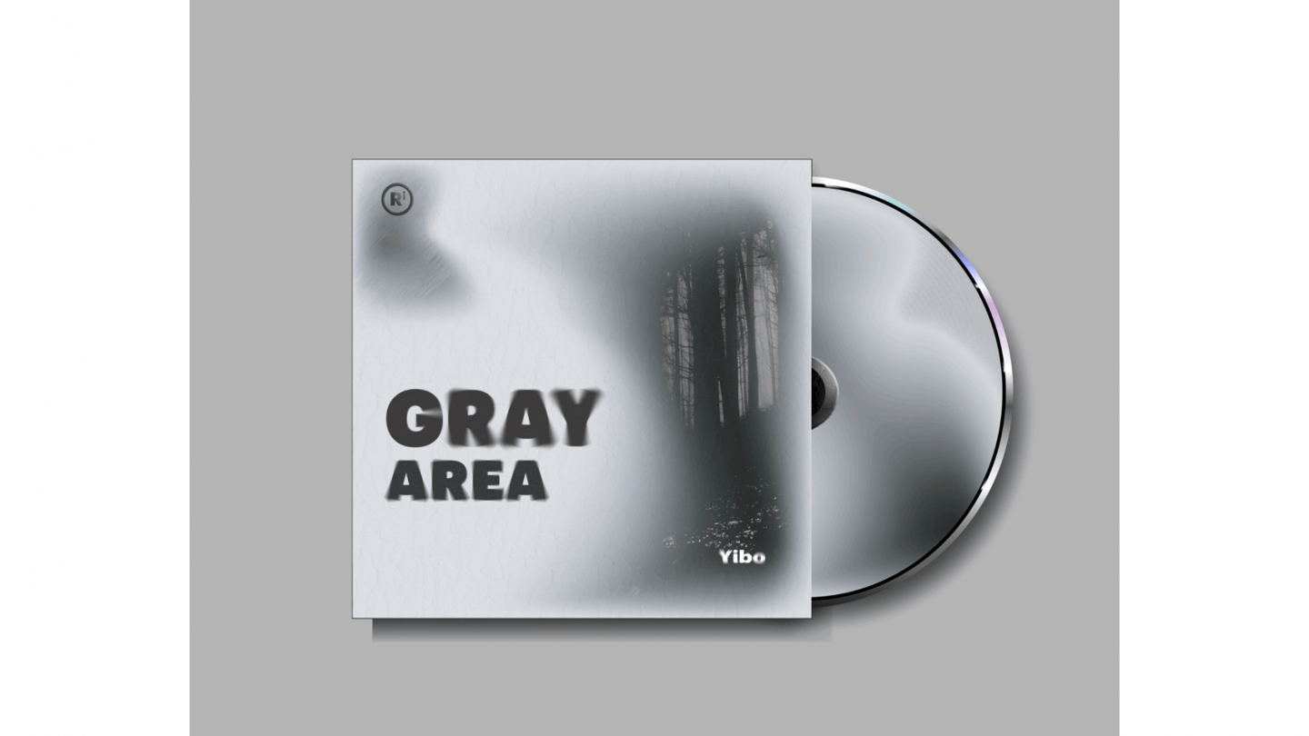 Gray area cd cover 