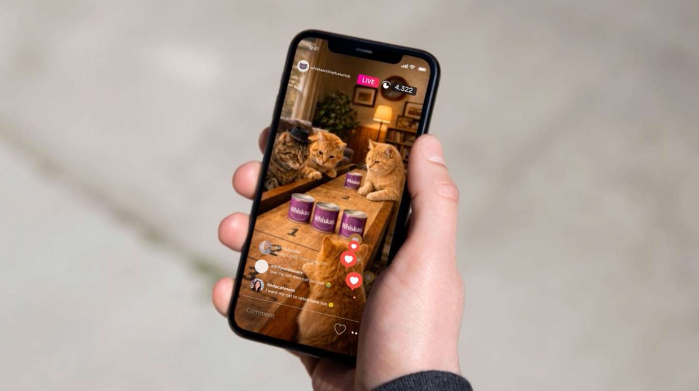 Whiskas - Retired Cats Club