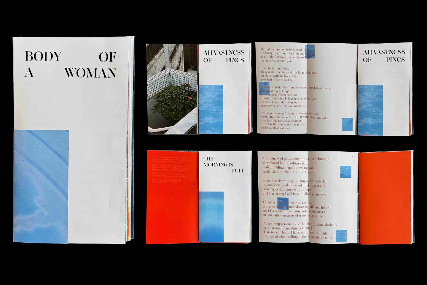 Twenty Love Poems and a Song of Despair