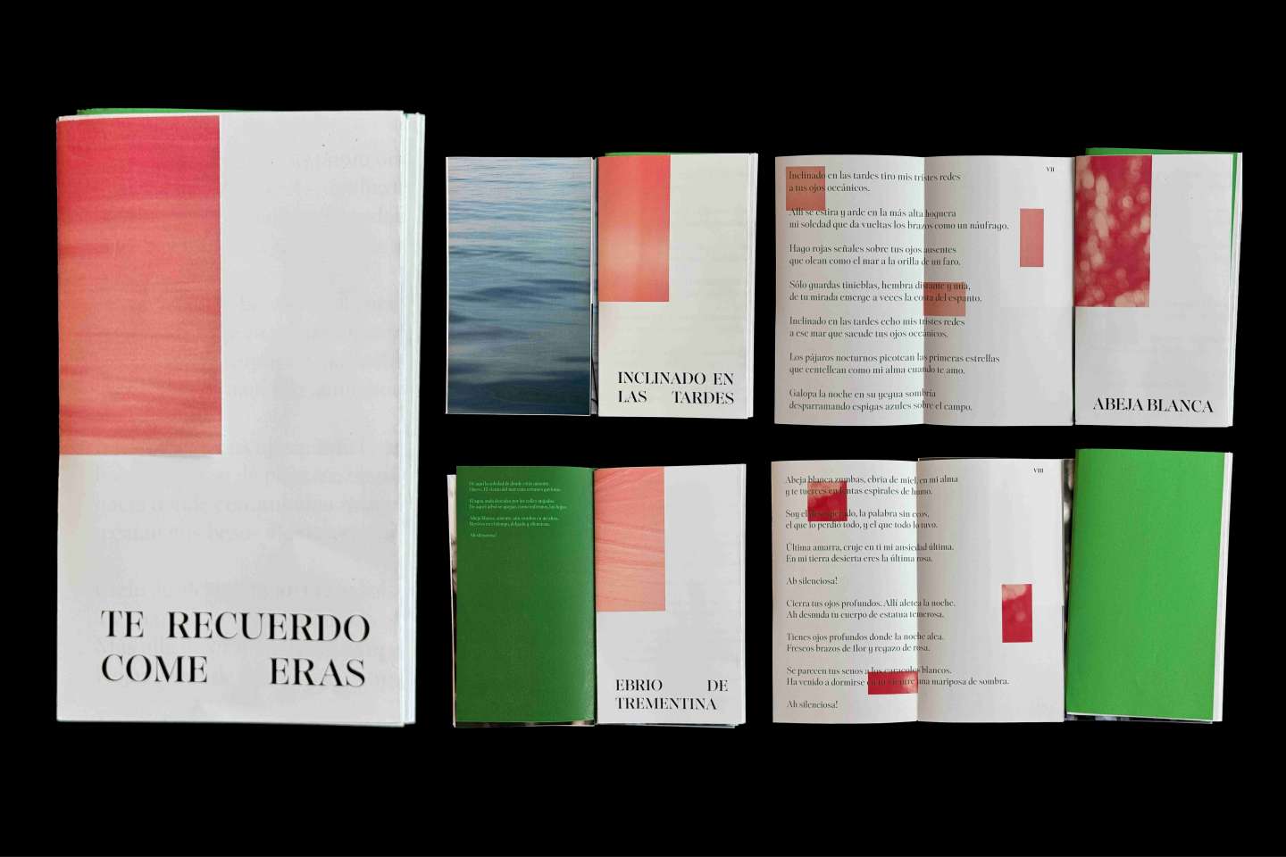 Twenty Love Poems and a Song of Despair