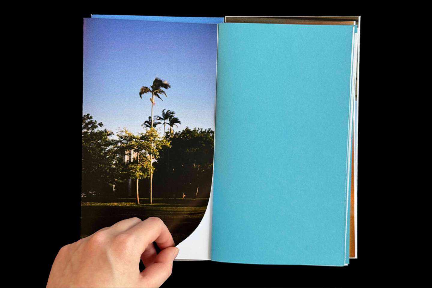 Twenty Love Poems and a Song of Despair