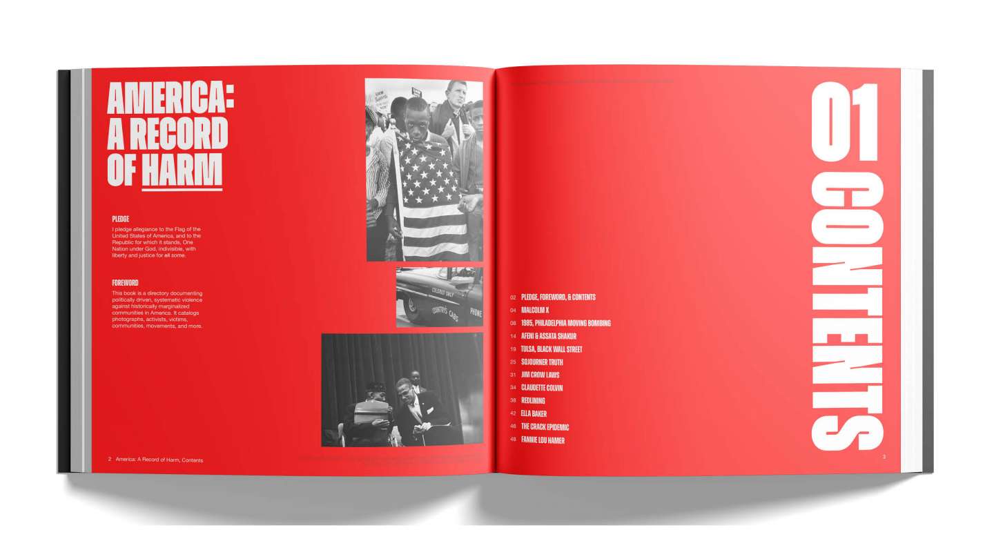 America: A Record of Harm