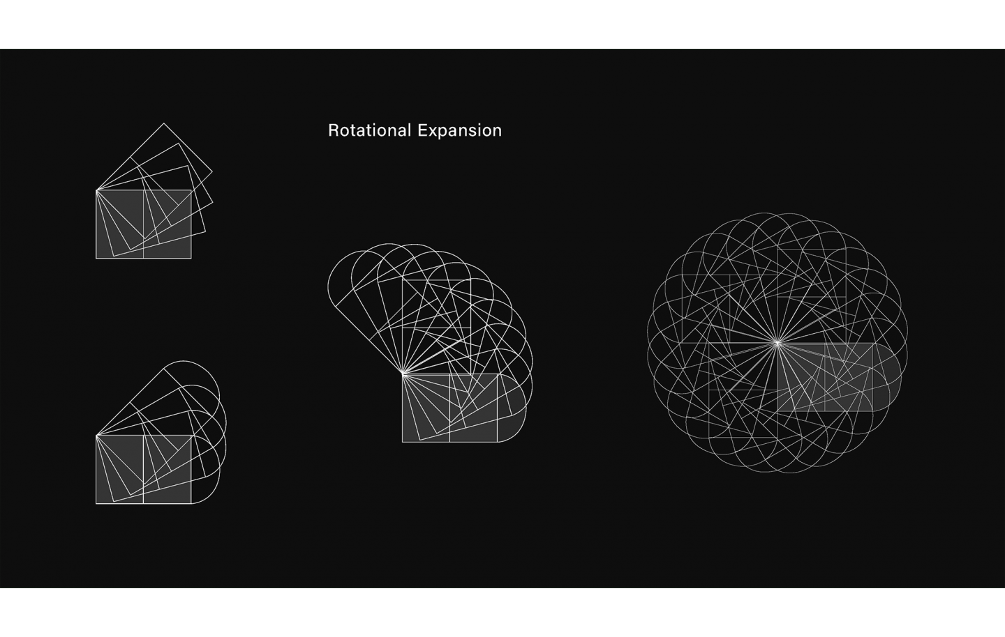 Insects & Geometry — Interactive Publication Design