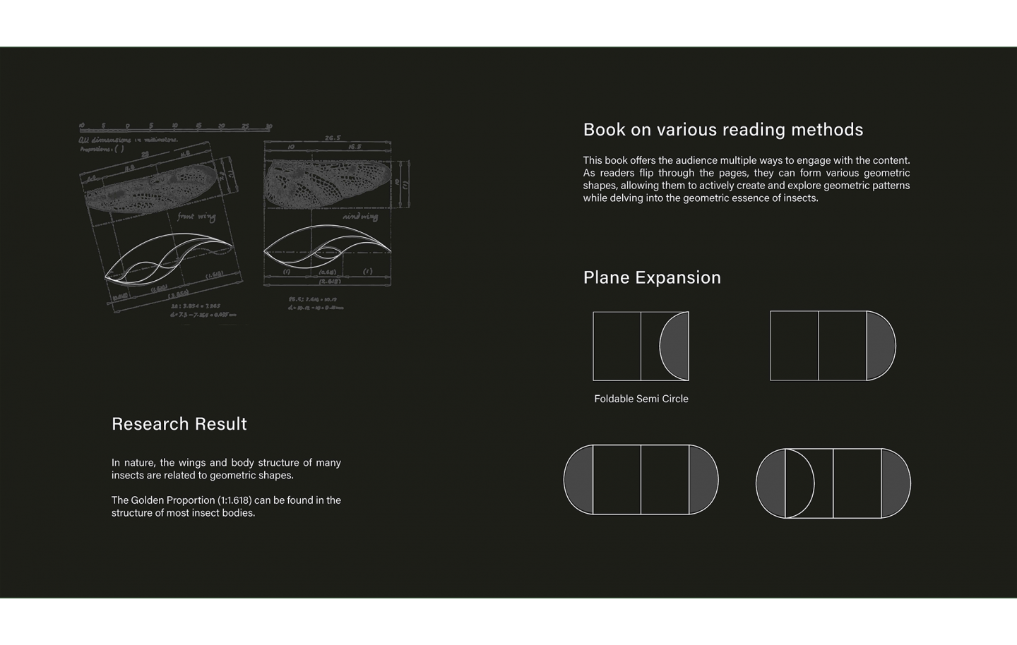 Insects & Geometry — Interactive Publication Design
