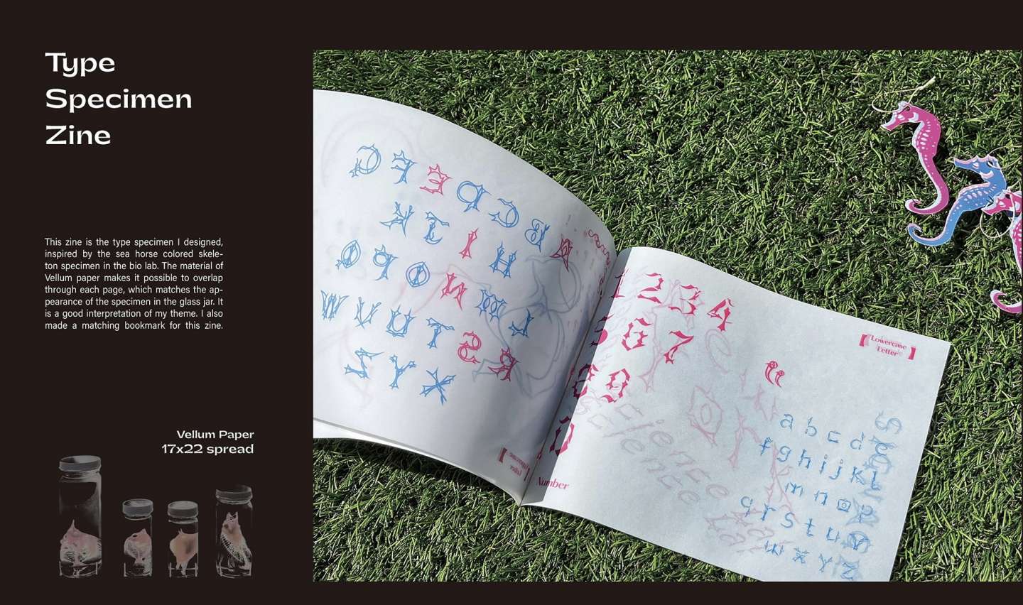 Experimental Typeface Design