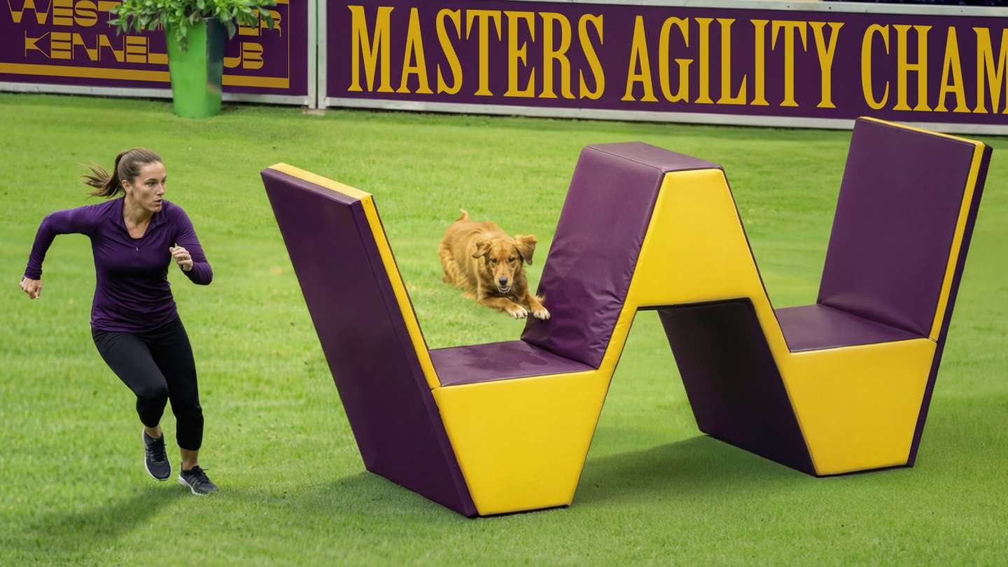 Westminster Kennel Club Dog Show