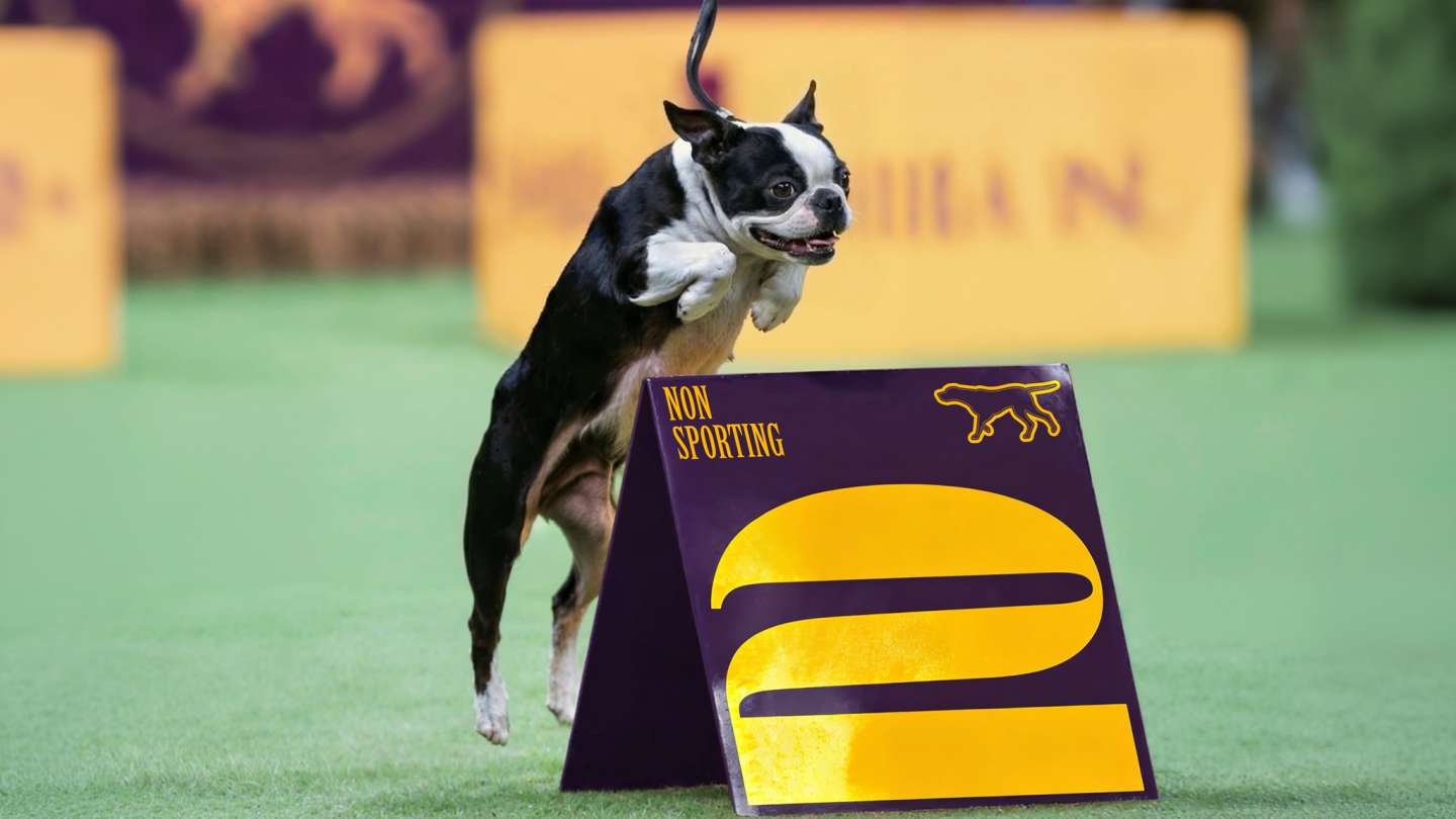 Westminster Kennel Club Dog Show