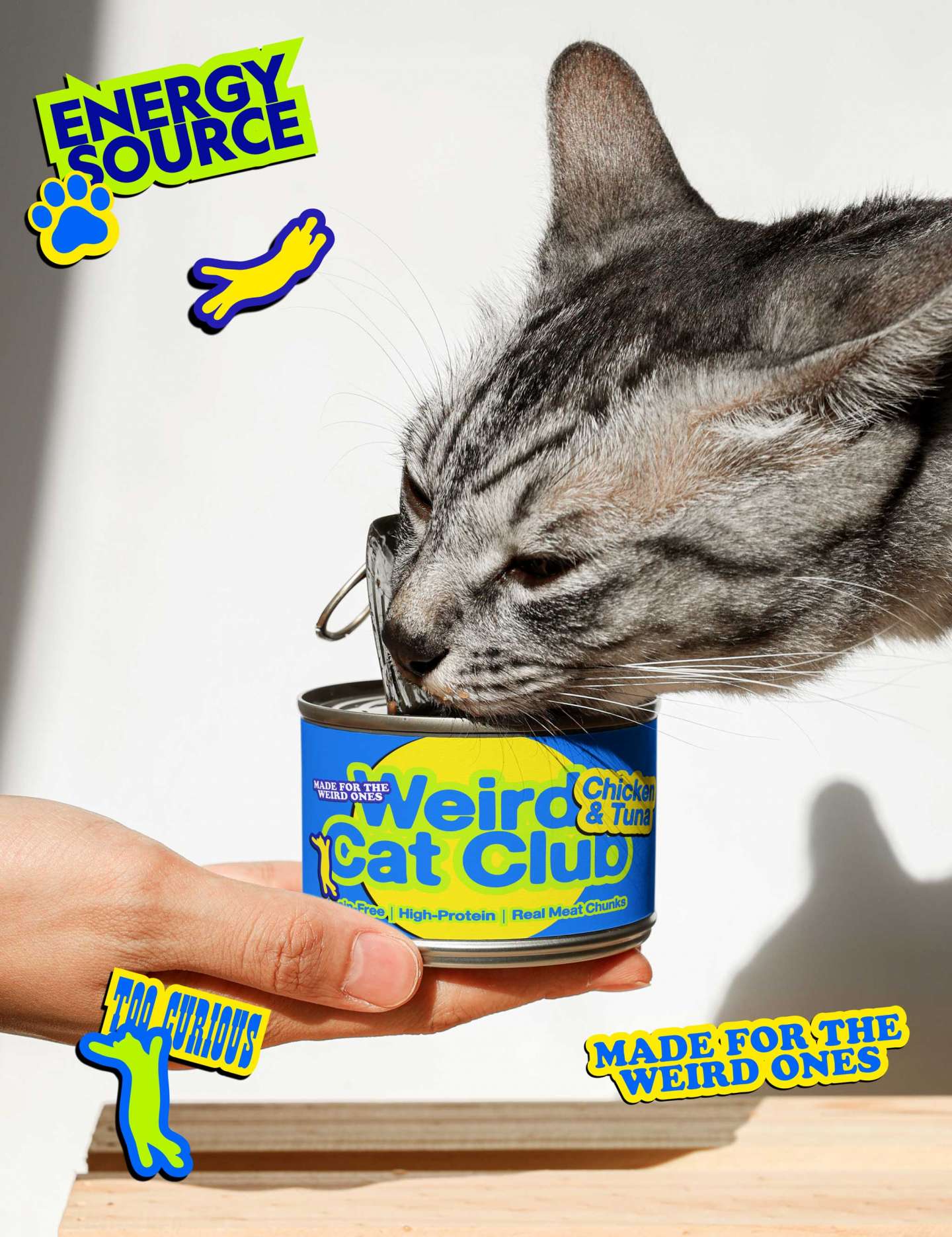 Weird Cat Club