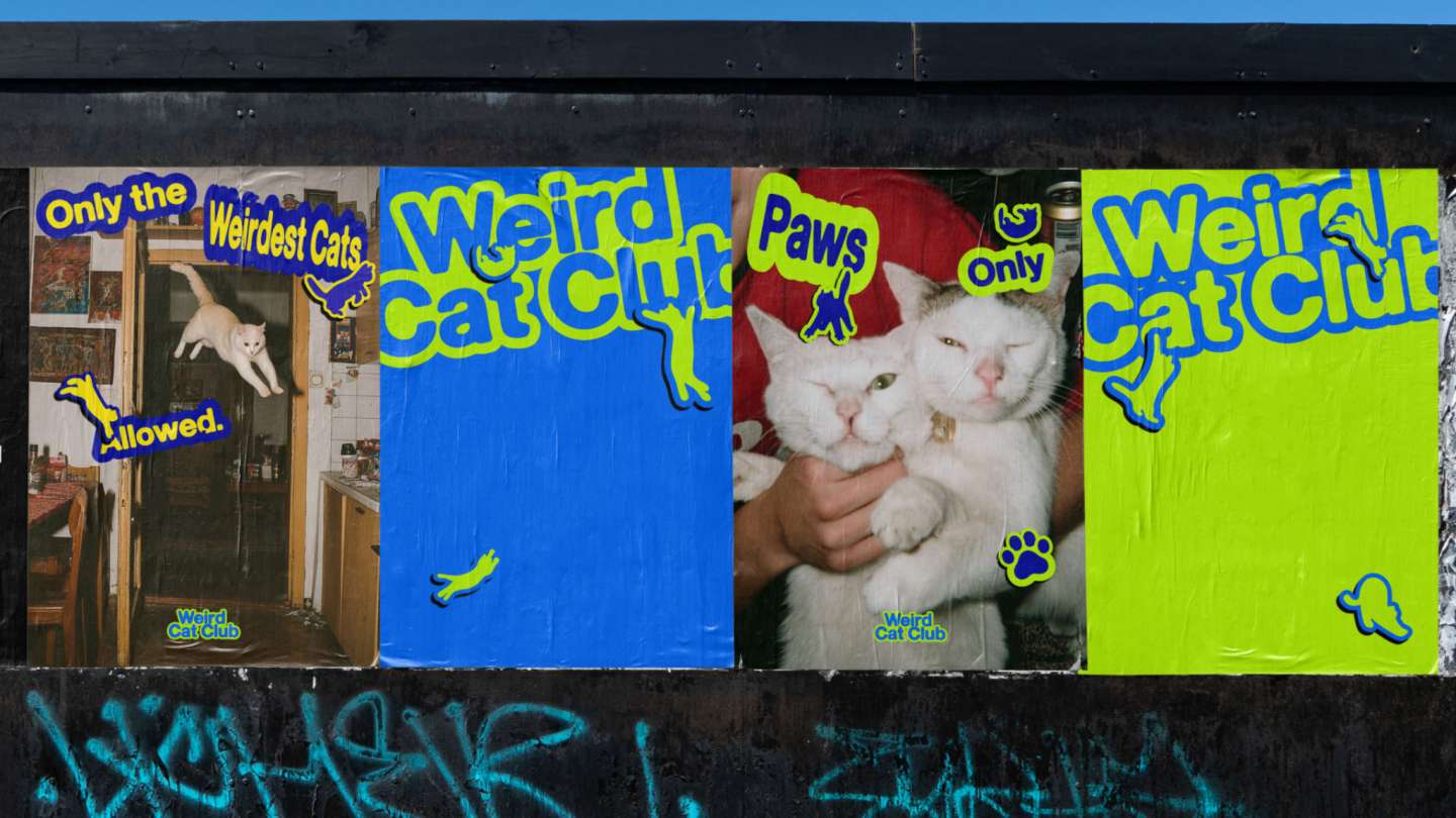 Weird Cat Club