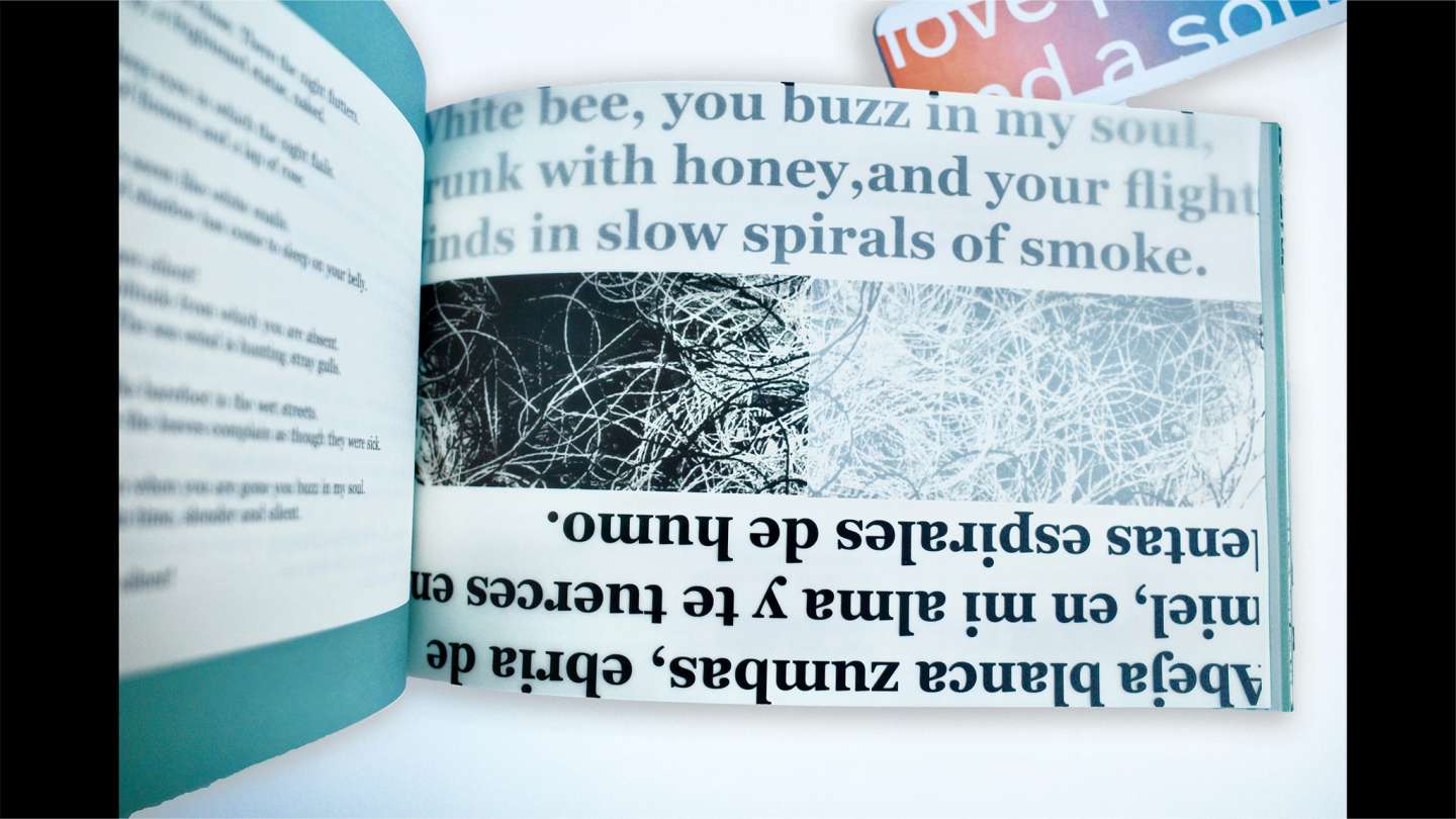 Twenty Love Poems and a Song