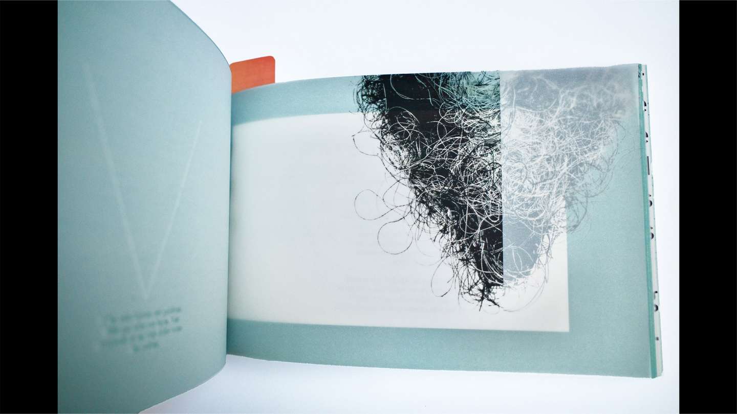 Twenty Love Poems and a Song