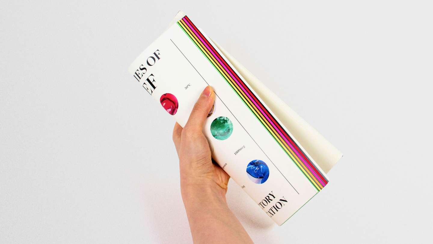 Boundaries of Belief