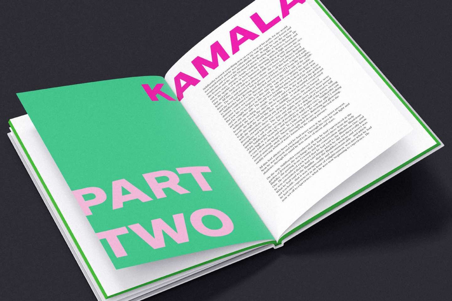 Book 『Siddhartha』 Redesign