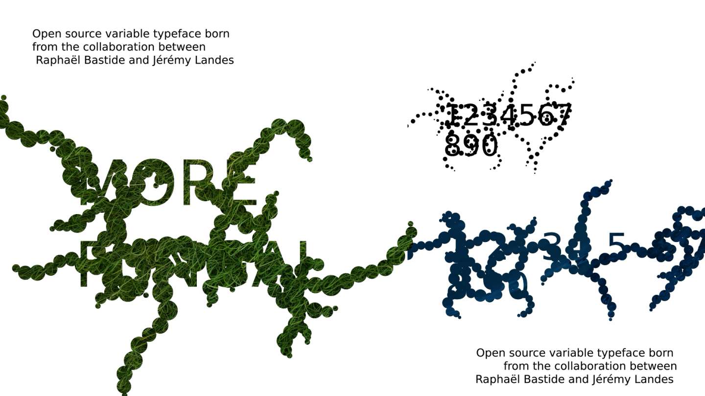 FUNGAL font promotion multimedia motion design