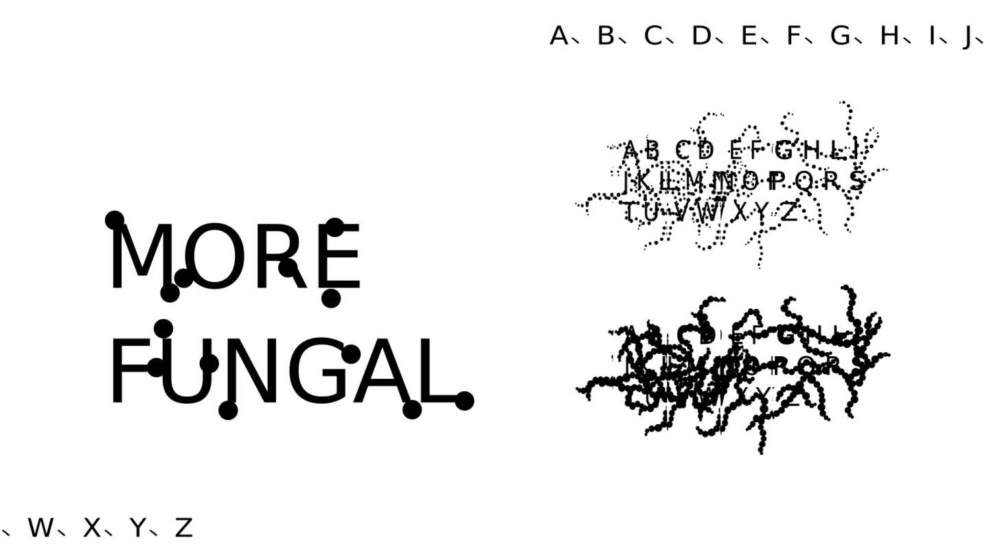 FUNGAL font promotion multimedia motion design