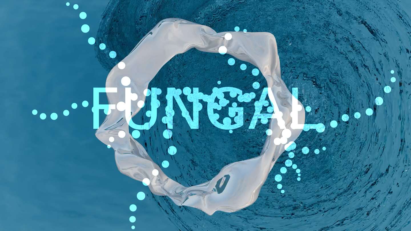 FUNGAL font promotion multimedia motion design