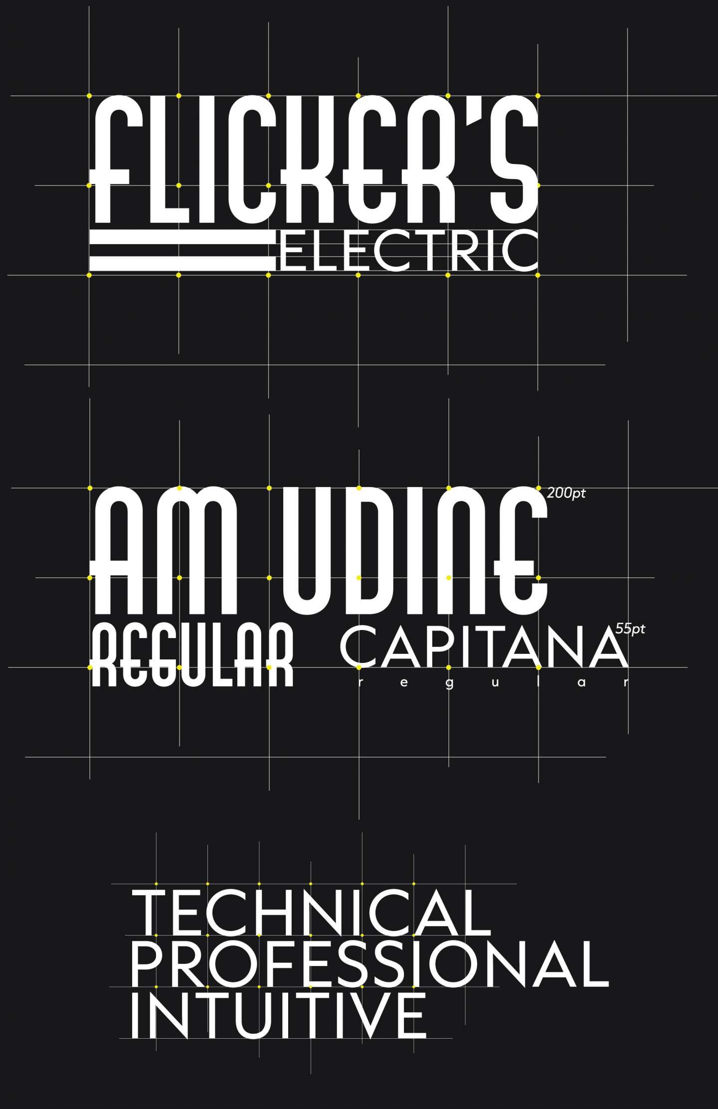 Flicker's Electric Company