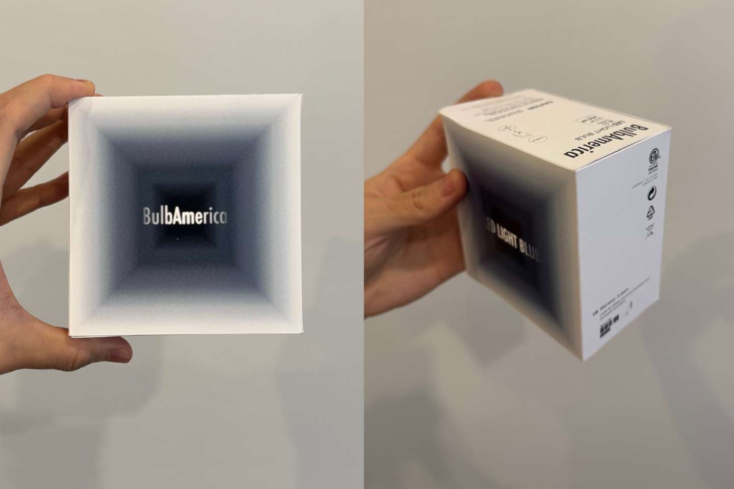 Light Bulb Packaging