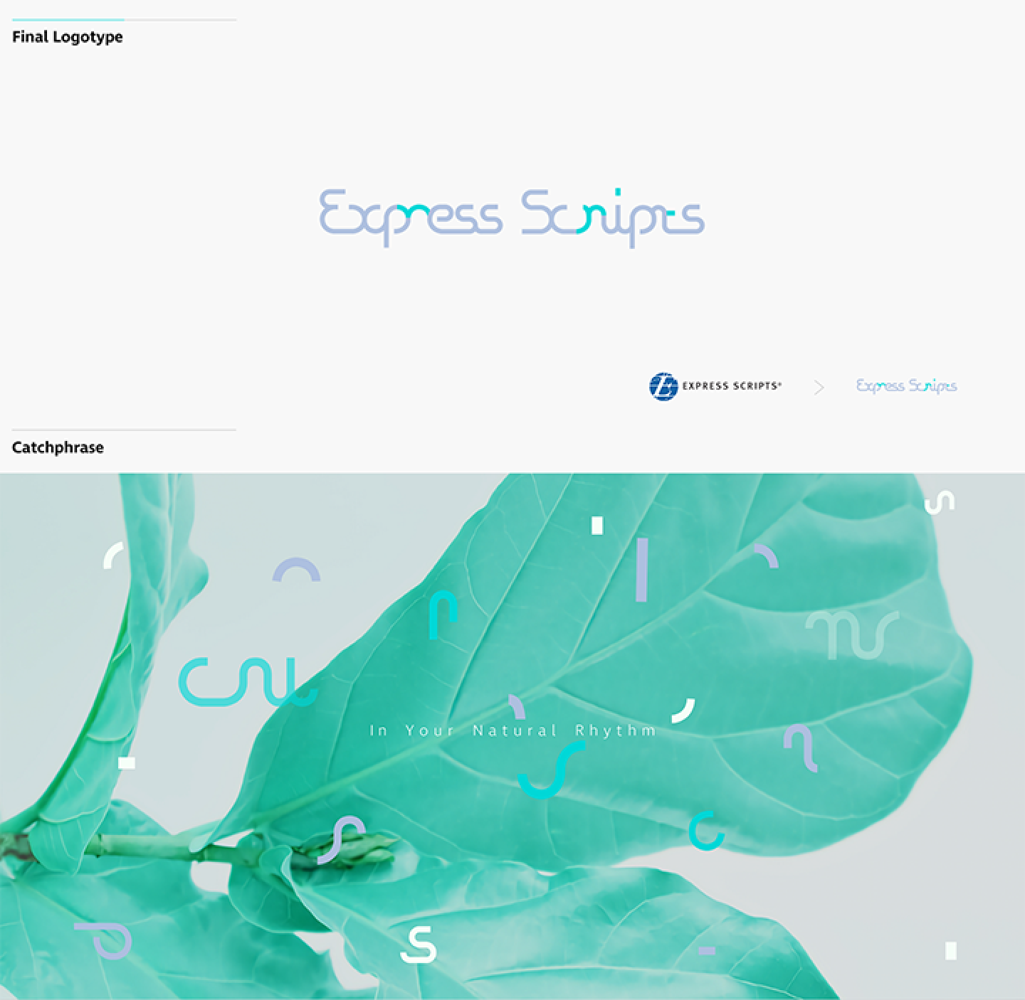 Rebranding for Express Scripts