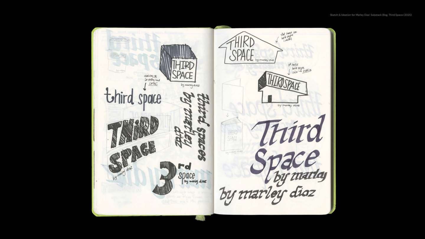Third Space by Marley Dias