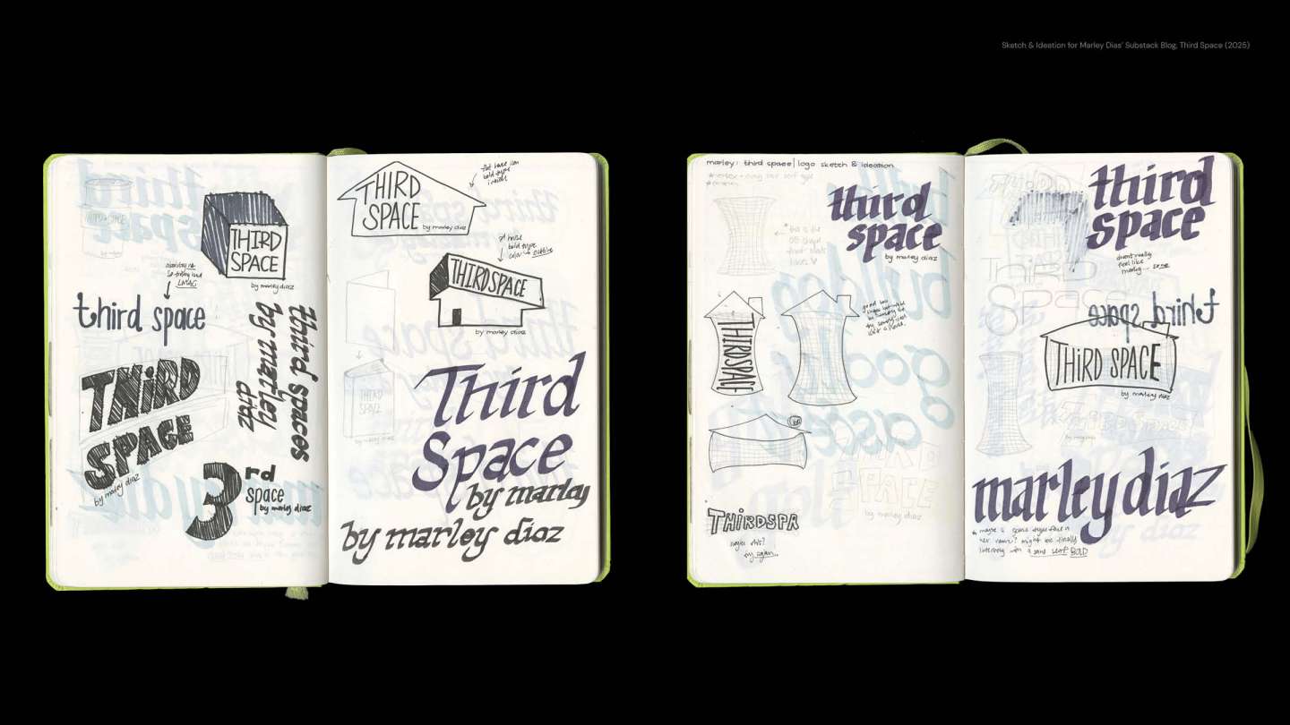 Third Space by Marley Dias