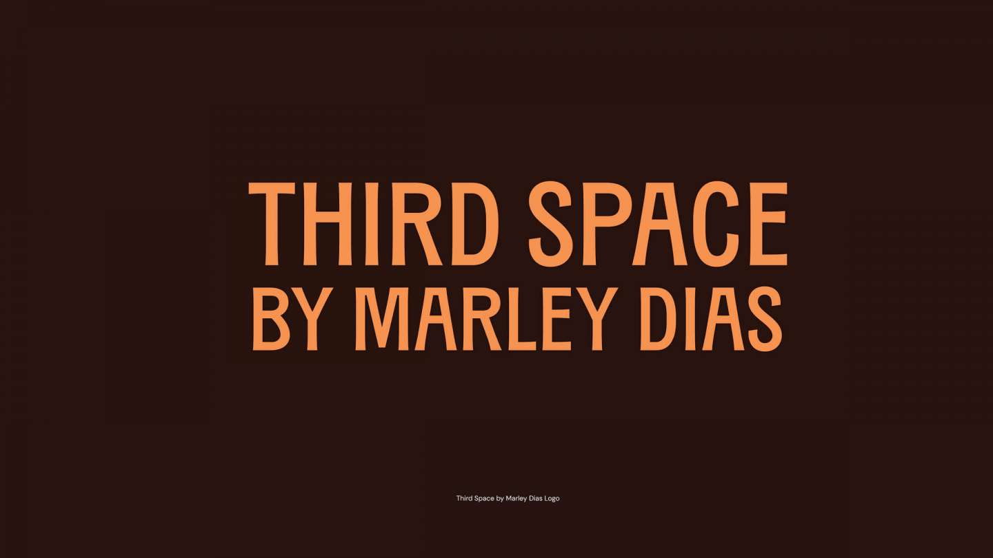 Third Space by Marley Dias