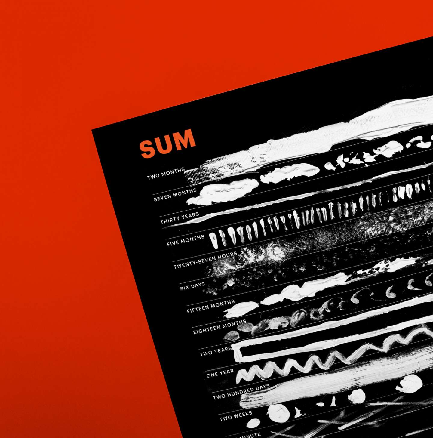 Sum: An Experimental Infographic