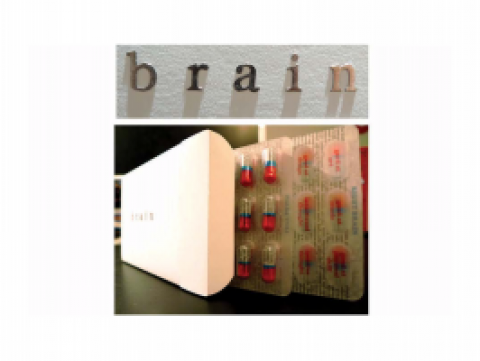 Book Project : Brain