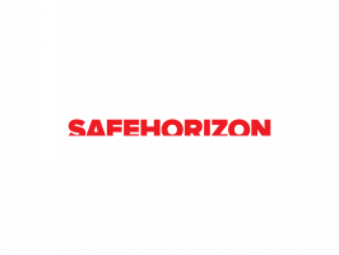 Safe Horizon Print Campaign