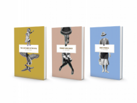 J.D. Salinger Book Cover Series