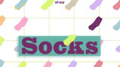 The Brief History of My Socks