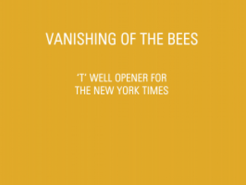 Vanishing of The Bees