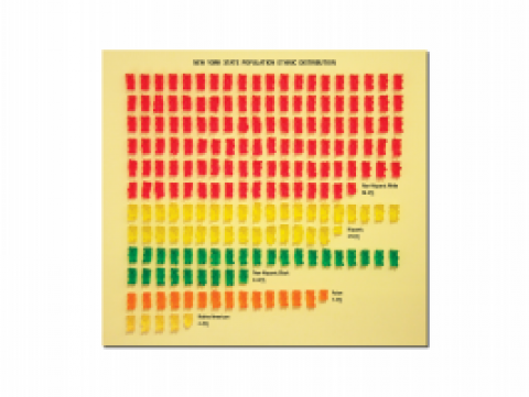 New York State Population Ethnic Distribution