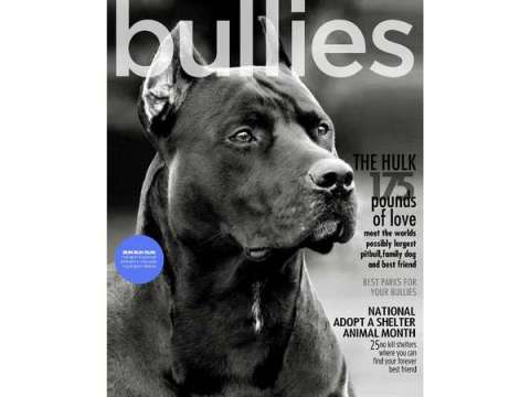 Bullies Magazine