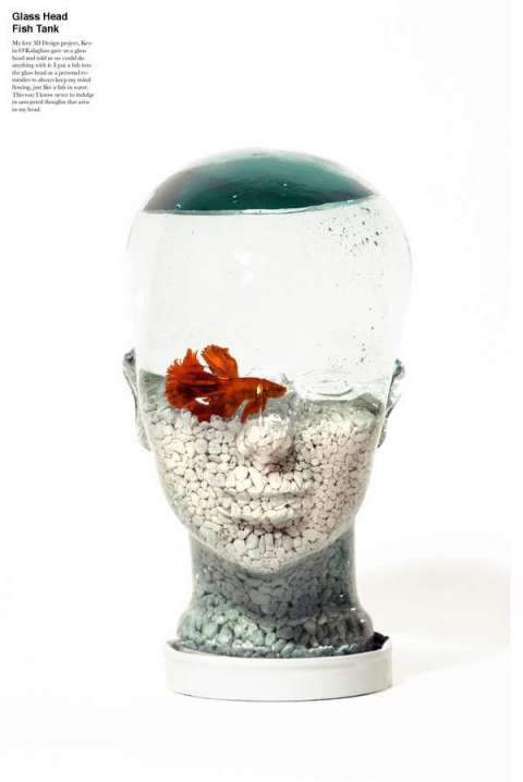 Glass Head Fish Tank