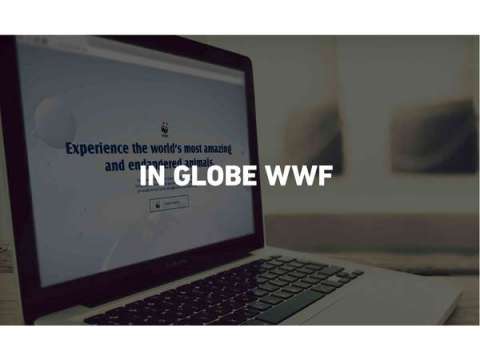 In globe wwf