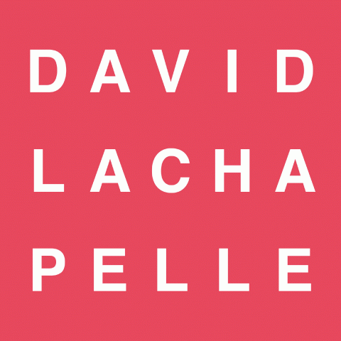 David LaChapelle Book