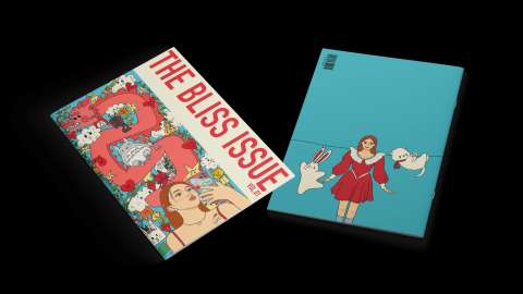 The Bliss Issue