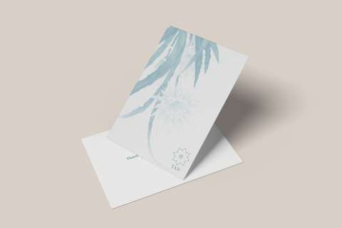 “TAN” Clothing Branding