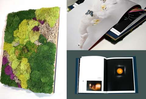 Wendy Given Book Design