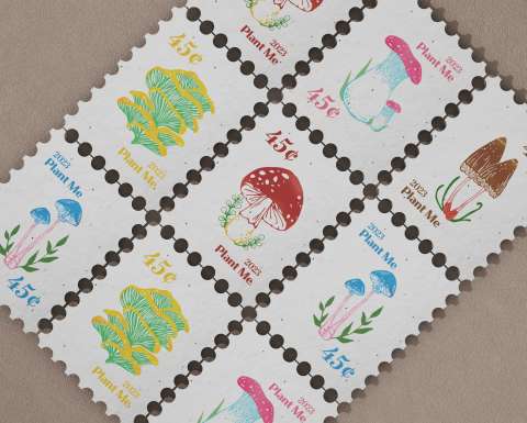 Mushroom Seeds Stamps Design