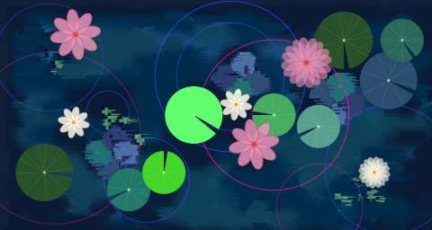 Lotus Garden