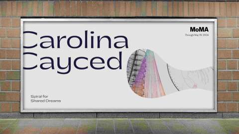 Moma Exhibition: Carolina Caycedo