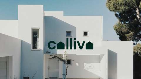 Collivo